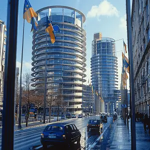 海关企业代码怎么取得